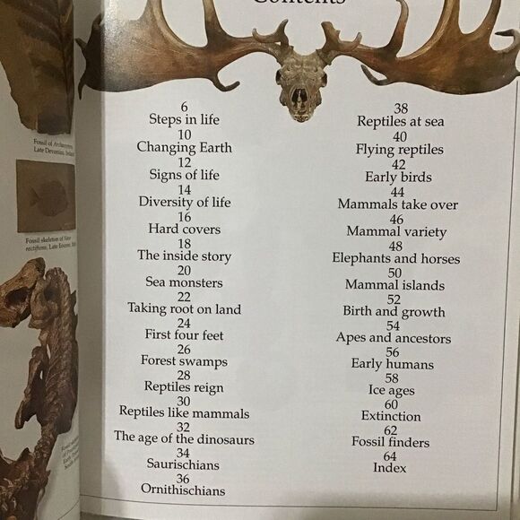 DK Eyewitness Books Prehistoric Life HB Book - Picture 5 of 5